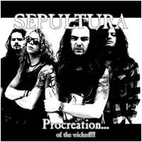 Sepultura : Procreation of the Wicked